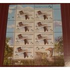 Беларусь 2009 Серый гусь малый лист