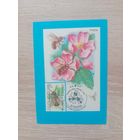 Календарик 1991