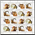 РОССИЯ 2013 1667-70 Фауна. Дикие козлы и бараны ** ЛИСТ