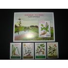 Беларусь 1996 Лекавые расліны  ОШИБКА ОРФОГРАФИИ!  нужно  Лекавыя расліны