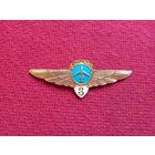 Классность ГВФ Аэрофлота. Летчик 3 класс.