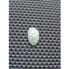 Чешуйка9 с рубля!