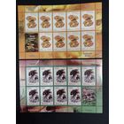 Марки Беларуси 2008, Грибы съедобные чистые листы КМ 746/ 747, каталог 32 евро