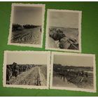 4 Фото рейх ВОВ ,экипировка  упряжки, обозы(А28)