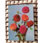 Открытка цветы