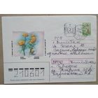 Конверт с провизорием