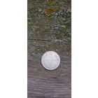 15 копеек 1904