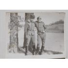 Фото в коллекцию