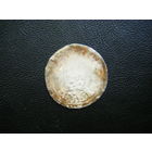 Пражский Грош 14 век н. э.