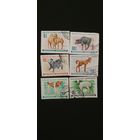 Монголия детеныши животных 6шт