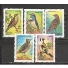 ФФ1 Россия 1995 Птицы