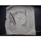 Поет Эмиль Горовец