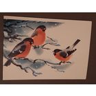 Чистая. Двойная. С Новым Годом! Снегири Каневский 1987 г.