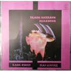 Black Sabbath–Paranoid, LP