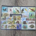 Лот марок 30шт тематика Фауна