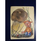 Календарик 1995-1996 г.  Боровик.