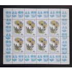 СССР 1986г. Малый лист. Василёк **. Сол.5698.