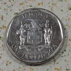 Ямайка 1 доллар, 2008 Круглая (5-6-122)