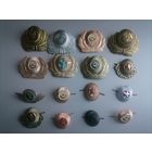 Кокарды 16 штук