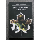 Юрий Тарыничев На Судском заломе.