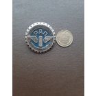 Значок легкий РАП