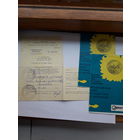 Туристская путевка