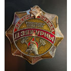 Нагрудный знак дежурного пожарной службы