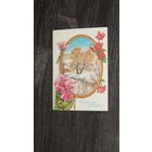 Открытка 8 марта