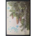 СССР 1986 открытка С новым годом, фото Дергилева.