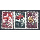 Цветы СССР 1965 год 3 марки