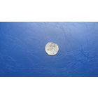 Двуденарий 1575?                                      (901)