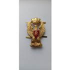 Кокарда - полиция Италии