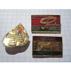 3 значка/116 с рубля!