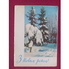 С Новым Годом! Градова 1964 г.