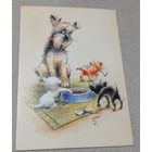 Посткроссинг. Открытка Пёс и котята, худ.Юлия Корякина (10х15). Прошла почту. Художественная марка, чёткий штемпель.