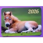 Лошадь. Календарик, глянец, 2026. Траско