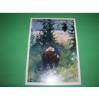 Живопись Поленова Сказки Машенька верхом на медведе 1979 год чистая