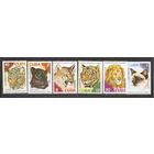 ФФ1 Куба 1977 Семейство кошачьих