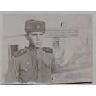 Фото в коллекцию