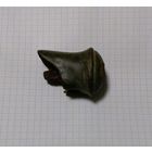 Тыльник рукояти драгунской сабли 1841г.