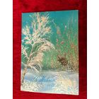 Открытка С Новым годом! А. Исаков Подписана! 1985 год