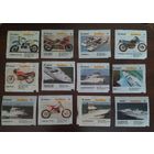 Бомбибомы 7 серия