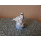 Голуби.ФФз.Минск.