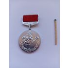 Бокс. Чемпионат Ленинграда. 1972 год. 2 место.