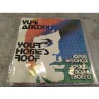 Пластинка виниловая , цена за 1 шт.