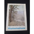 И. Дергилев