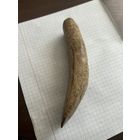 Древнее орудие труда. Скребок для чистки шкур? Толи кость толи бивень. Оригинал!