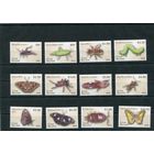 Острова Кука. Фауна. Насекомые. Членистоногие