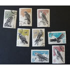 СССР 1965 г. Хищные птицы. Фауна, полная серия из 8 марок #0019-Ф1P5