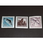 СССР 1960 Фауна. Охрана рыб и морских животных. Полная серия 3 чистые марки